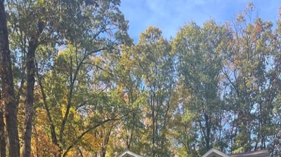 Home in Scotch Plains, NJ Photo